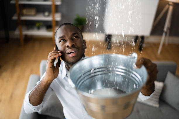 Best Professional water damage repair  in Hudson Bend, TX