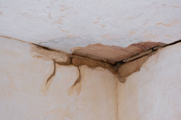  Hudson Bend, TX Water damage restoration Pros