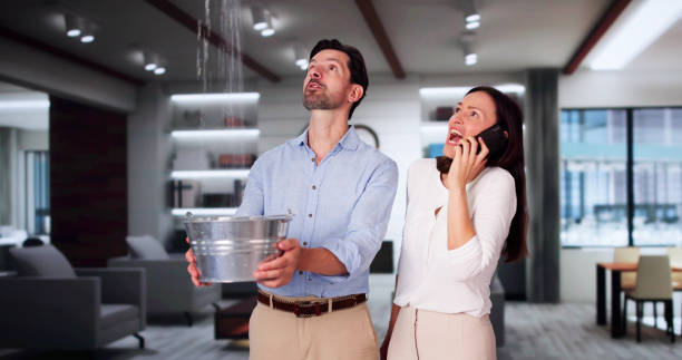 Best Mold removal after water damage  in Hudson Bend, TX