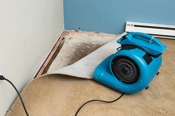 Best Fire Damage Restoration  in Hudson Bend, TX